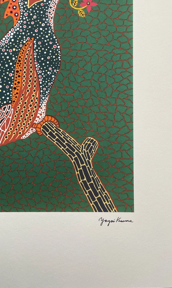 Yayoi Kusama - Dawn 88/500 - signováno, číslovaná edice, 50x65 cm