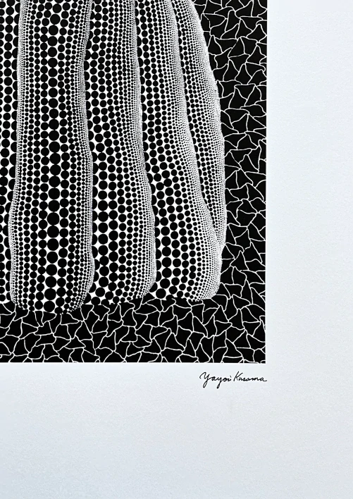 Yayoi Kusama - White pumpkin x/500 - signováno, číslovaná edice, 50x65 cm
