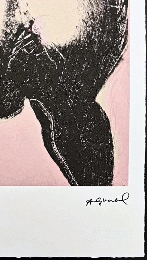 Andy Warhol - Male torso 70/100 - edice Leo Castelli s certifikátem