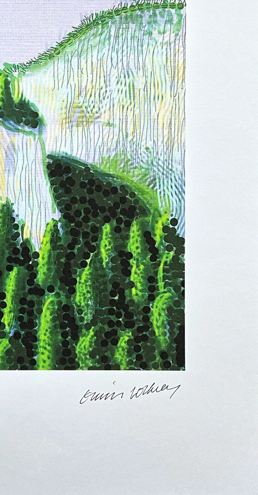 David Hockney - The Yosemite Suite 11 333/500 - limitovaná edice s certifikátem, 35x50 cm
