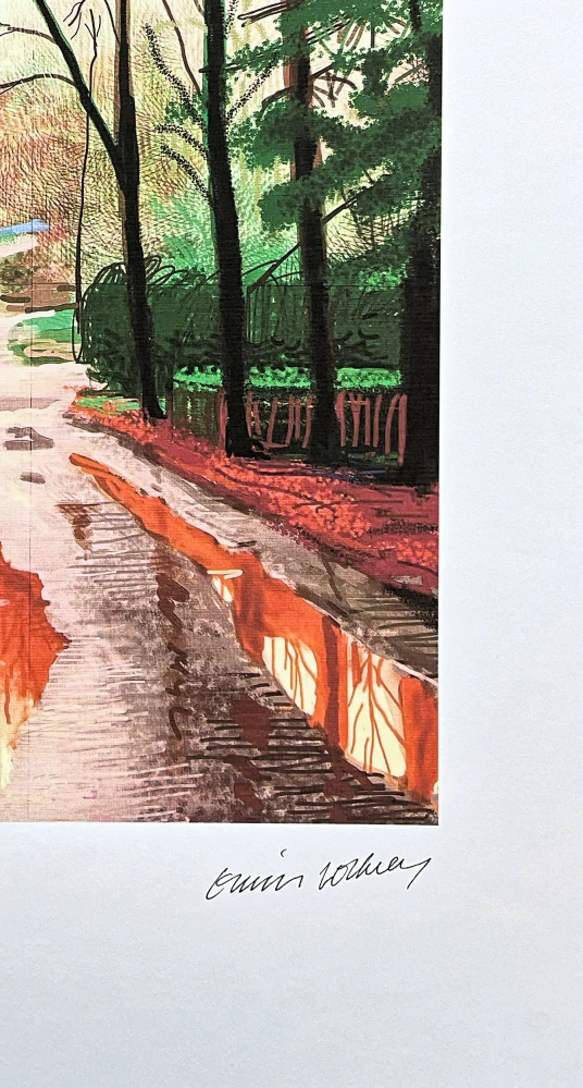 David Hockney - The Arrival of spring in Woldgate East Yorkshire in 2011 - 29 December no.2 - x/500 - limitovaná edice s certifikátem, 35x50 cm