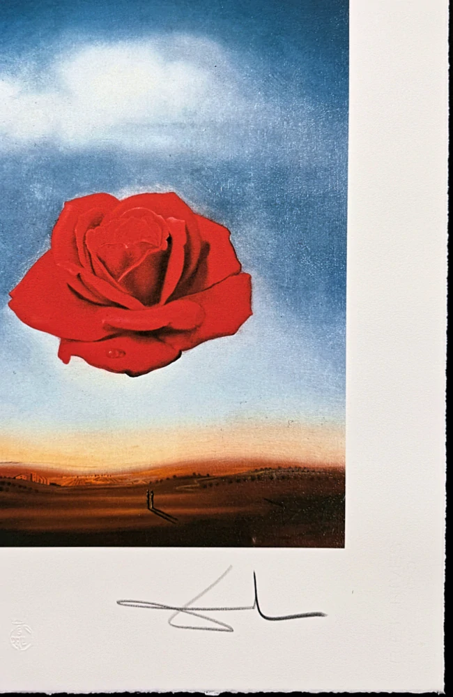 Salvador Dalí - Rose Meditative - signováno, limitovaná edice, 50x66cm