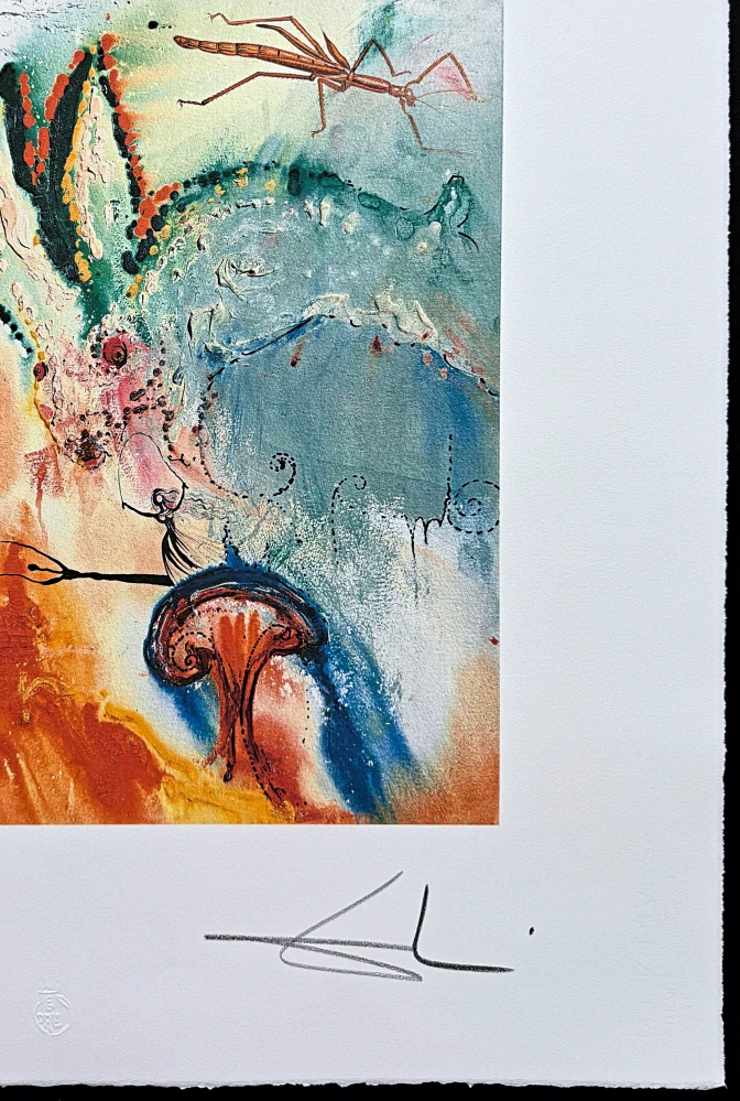 Salvador Dalí - Alice in Wonderland - signováno, limitovaná edice, 50x66cm