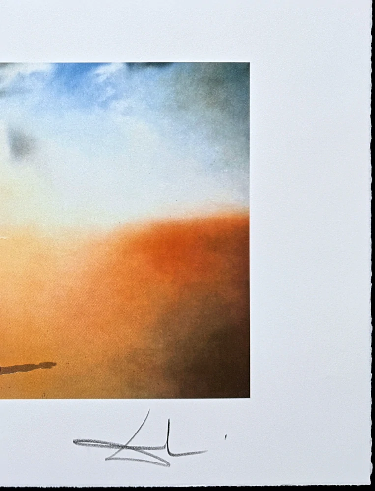 Salvador Dalí - Printemps Necrophilique - signováno, limitovaná edice, 66x50cm