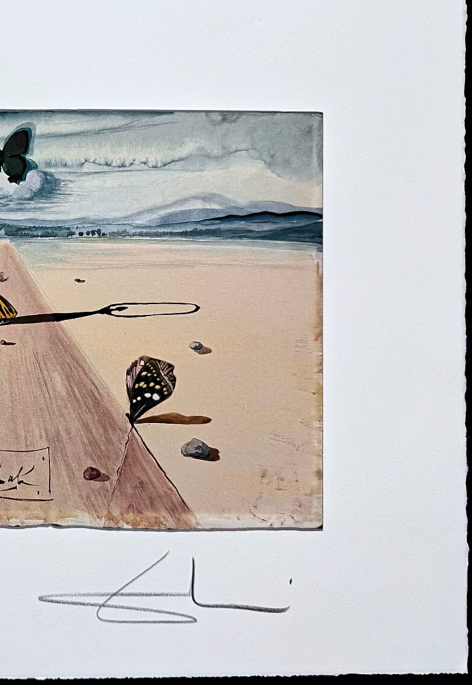 Salvador Dalí - Paysage aux papillons ll - signováno, limitovaná edice, 50x66cm