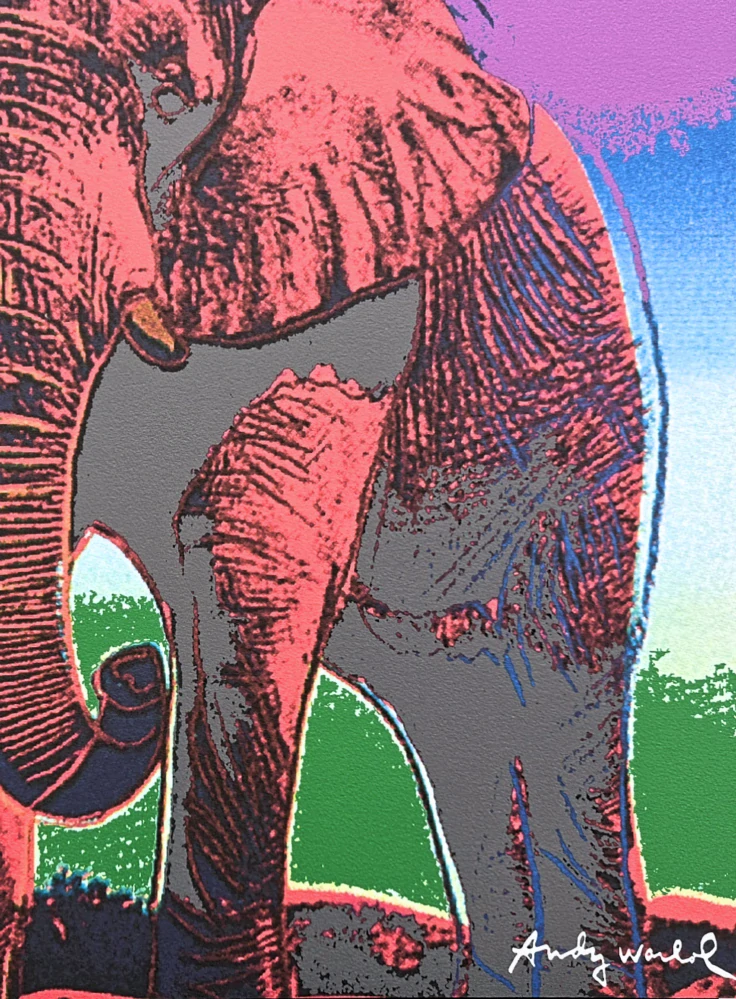 Andy Warhol - Elephant růžovo zelené pozadí x/2400 - 60x60 cm, limitovaná edice CMOA s certifikátem