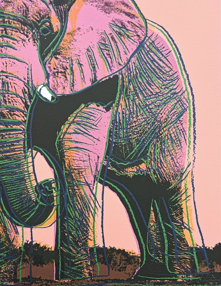Andy Warhol - Elephant světle oranžové pozadí x/2400 - 60x60 cm, limitovaná edice CMOA s certifikátem