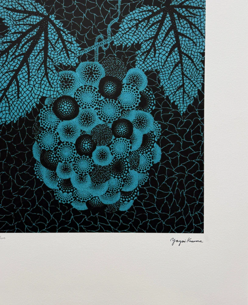Yayoi Kusama - Grapes II x/500 - signováno, číslovaná edice, 50x65 cm