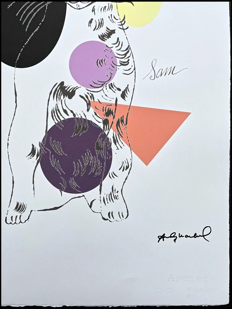 Andy Warhol - Cat Sam barevný II 30/100 - edice Leo Castelli s certifikátem