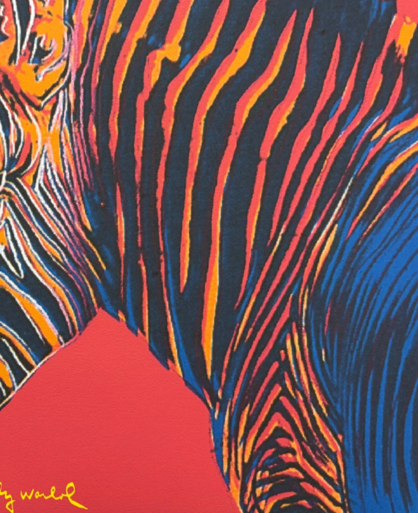 Andy Warhol - Grevys zebra červená x/2400 - 60x60 cm, limitovaná edice CMOA s certifikátem