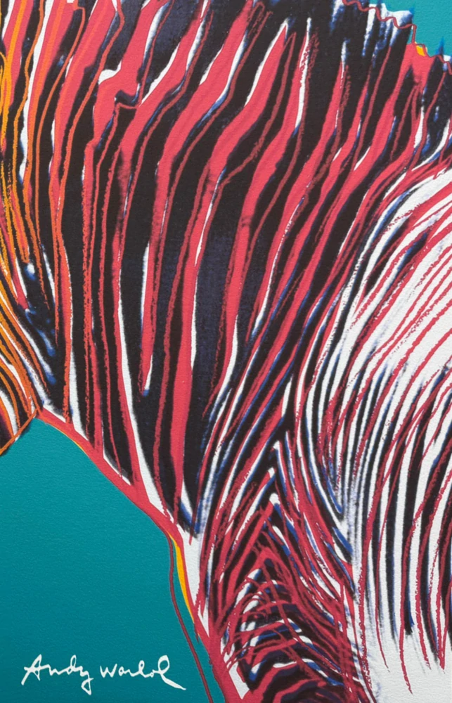 Andy Warhol - Grevys zebra modrá 171/2400 - 60x60cm, limitovaná edice CMOA s certifikátem