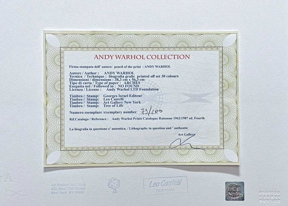 Andy Warhol - Tiger na tmavém pozadí 73/100 - edice Leo Castelli s certifikátem