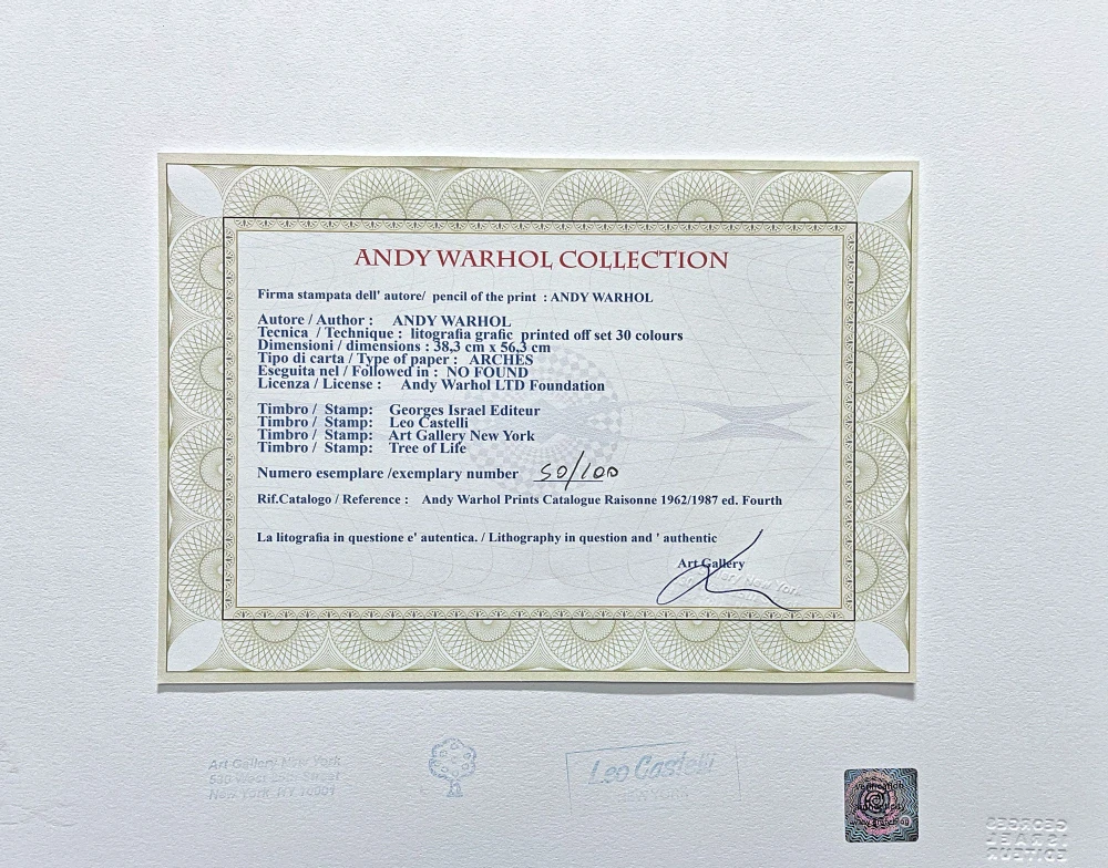 Andy Warhol - Campbell's Soup Oyster Stew 50/100 - edice Leo Castelli s certifikátem