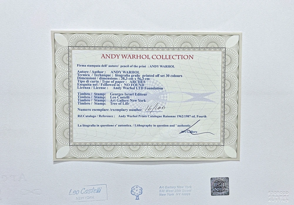 Andy Warhol - Pepsi-Cola zelená 16/100 - edice Leo Castelli s certifikátem