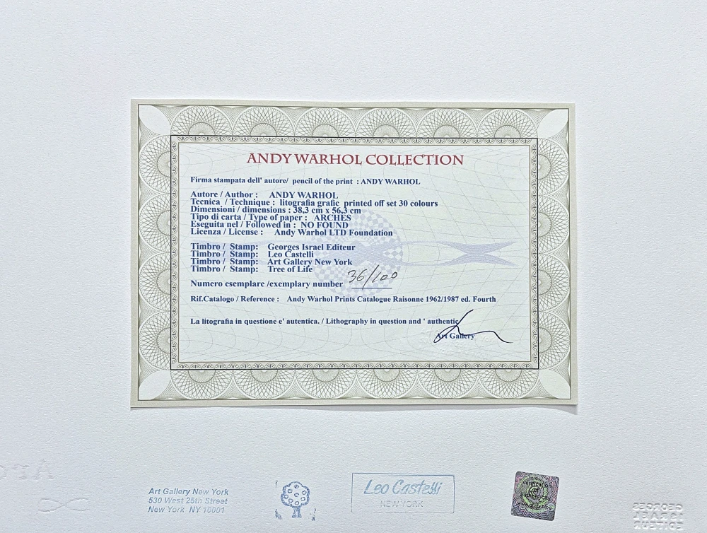 Andy Warhol - Cat Sam růžový ležící 36/100 - edice Leo Castelli s certifikátem