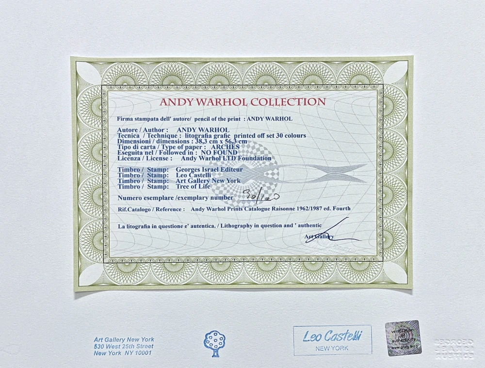 Andy Warhol - Mick Jagger růžový x/100 - edice Leo Castelli s certifikátem