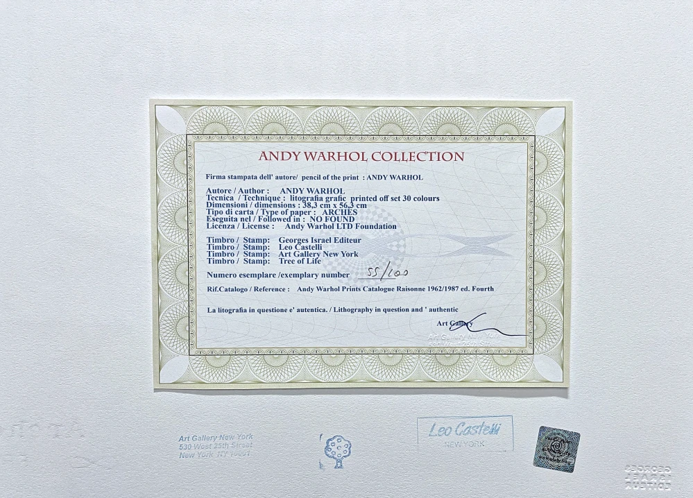 Andy Warhol - Campbell's Soup Chicken'n Dumplings 55/100 - edice Leo Castelli s certifikátem