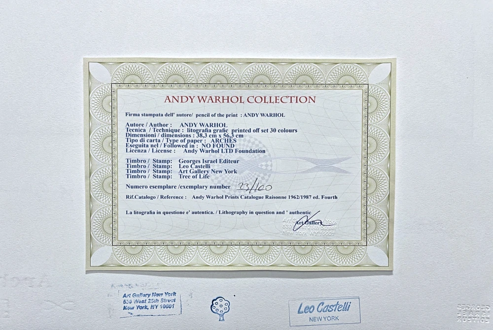 Andy Warhol - Orangutan hnědý 23/100 - edice Leo Castelli s certifikátem