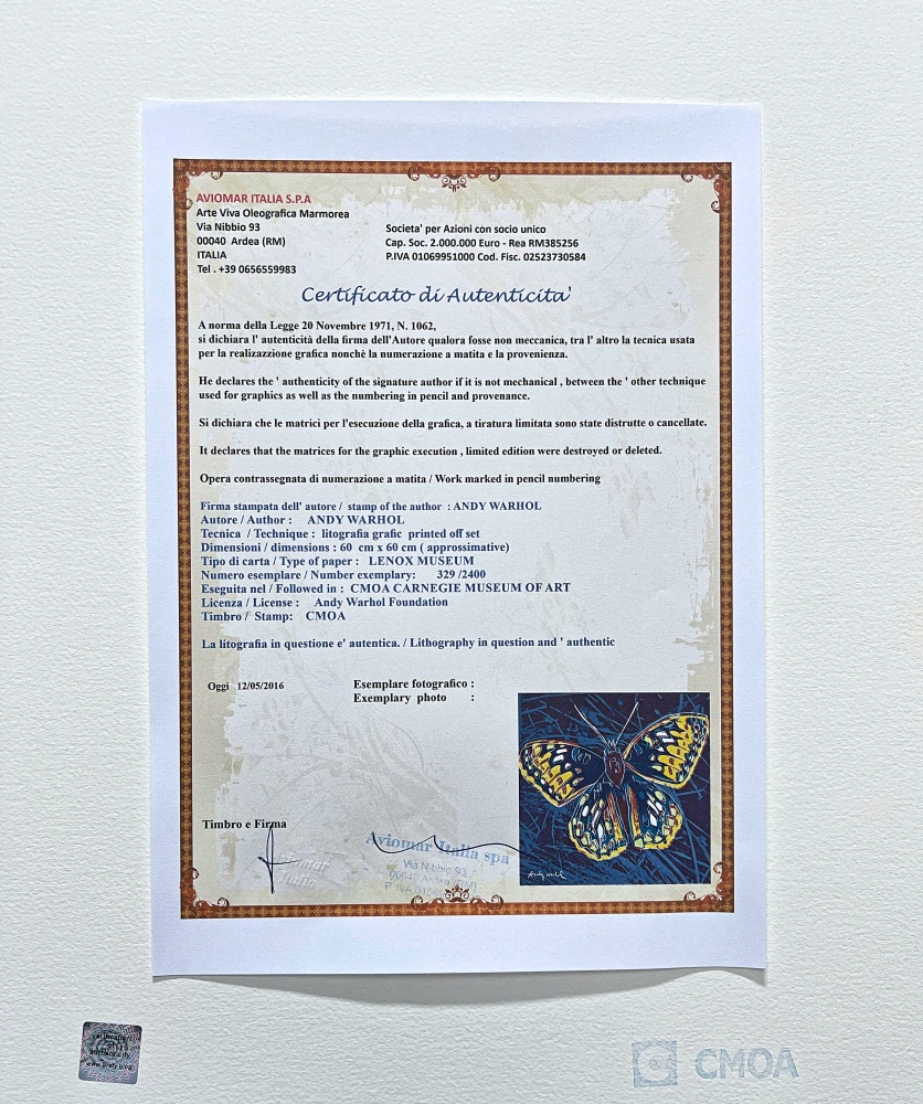 Andy Warhol - Butterfly modrý x/2400 - 60x60 cm, limitovaná edice CMOA s certifikátem