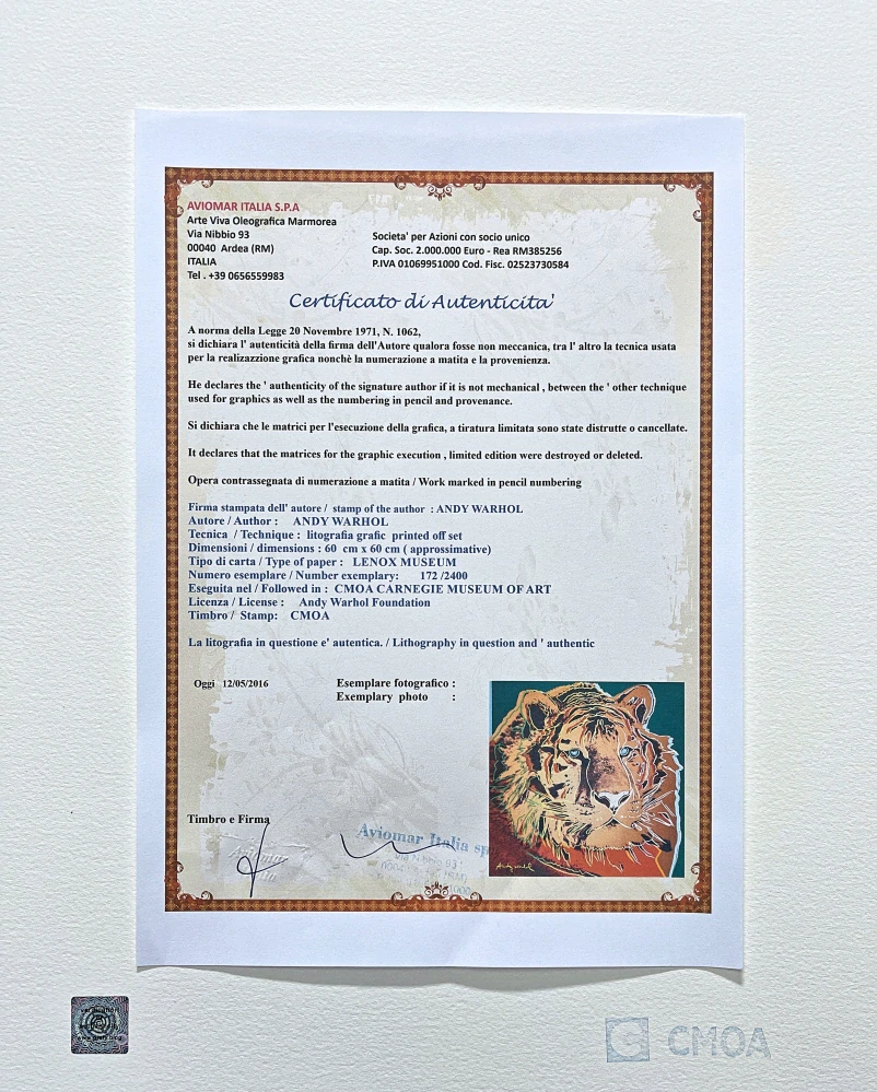 Andy Warhol - Tiger x/2400 - 60x60 cm, limitovaná edice CMOA s certifikátem