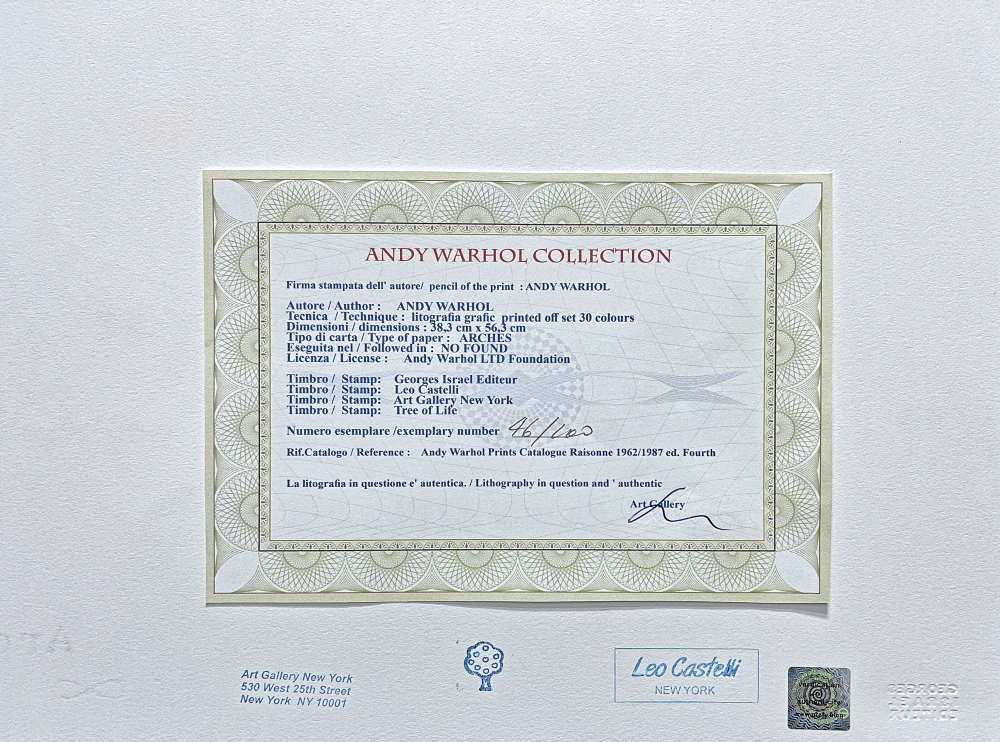 Andy Warhol - Campbell's Soup Noodle 46/100 - edice Leo Castelli s certifikátem