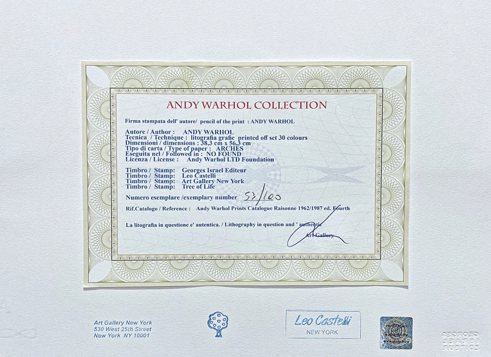 Andy Warhol - Debbie Harry modrá 53/100 - edice Leo Castelli s certifikátem
