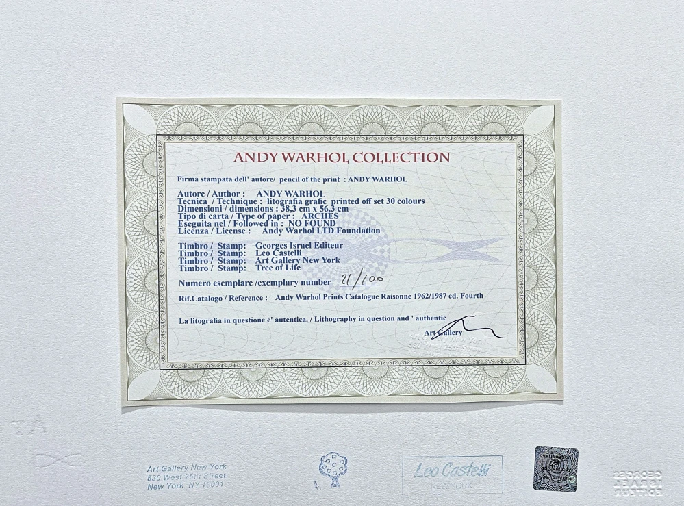 Andy Warhol - Cat Sam hlava šedý x/100 - edice Leo Castelli s certifikátem