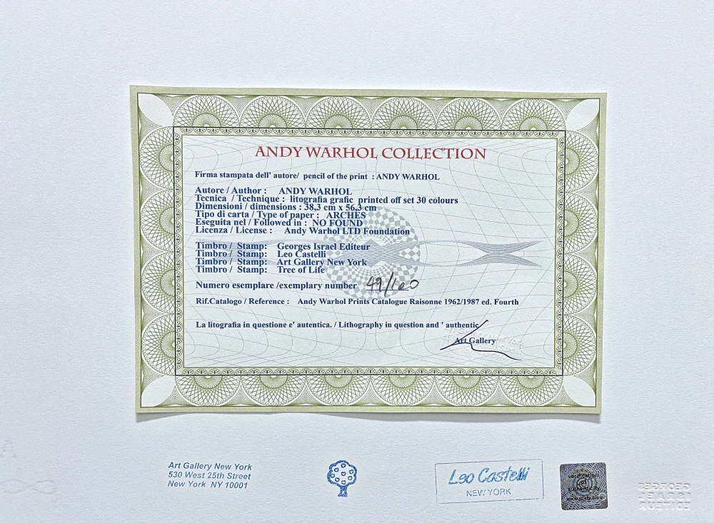 Andy Warhol - Mick Jagger růžovo-zelený 49/100 - edice Leo Castelli s certifikátem