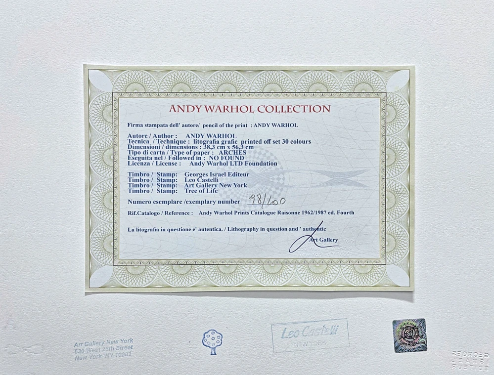 Andy Warhol - Dolphin - žlutý 98/100 - edice Leo Castelli s certifikátem