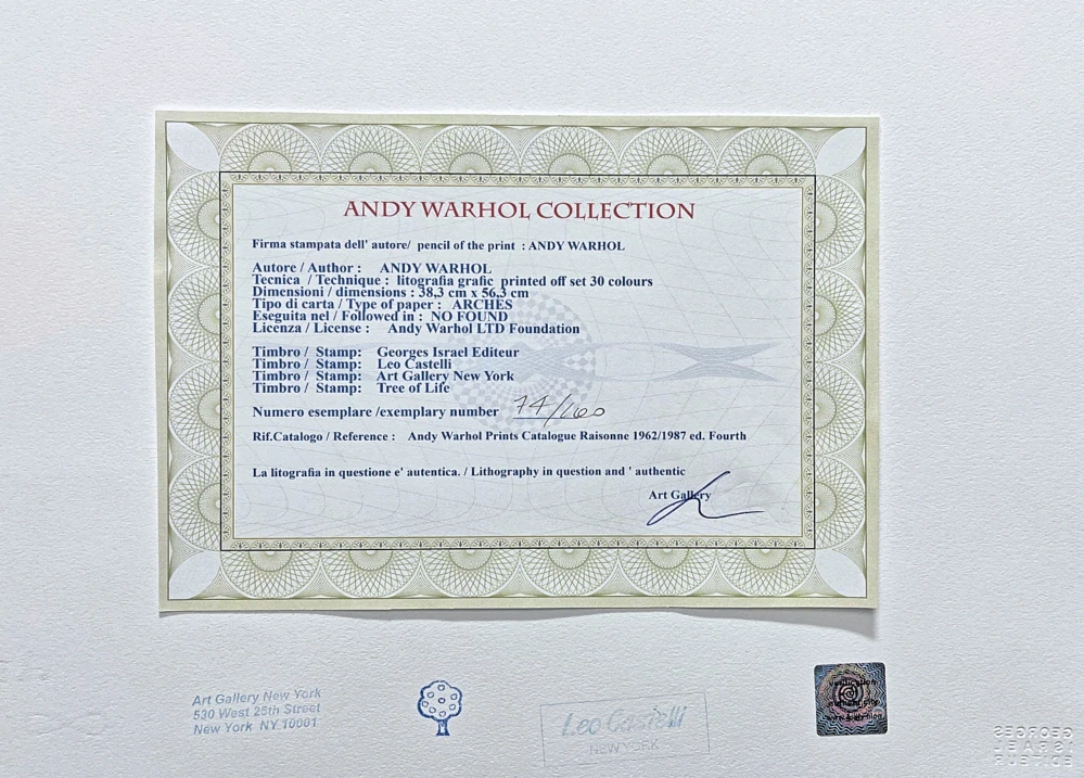 Andy Warhol - Dolphin - modro-zelený 74/100 - edice Leo Castelli s certifikátem