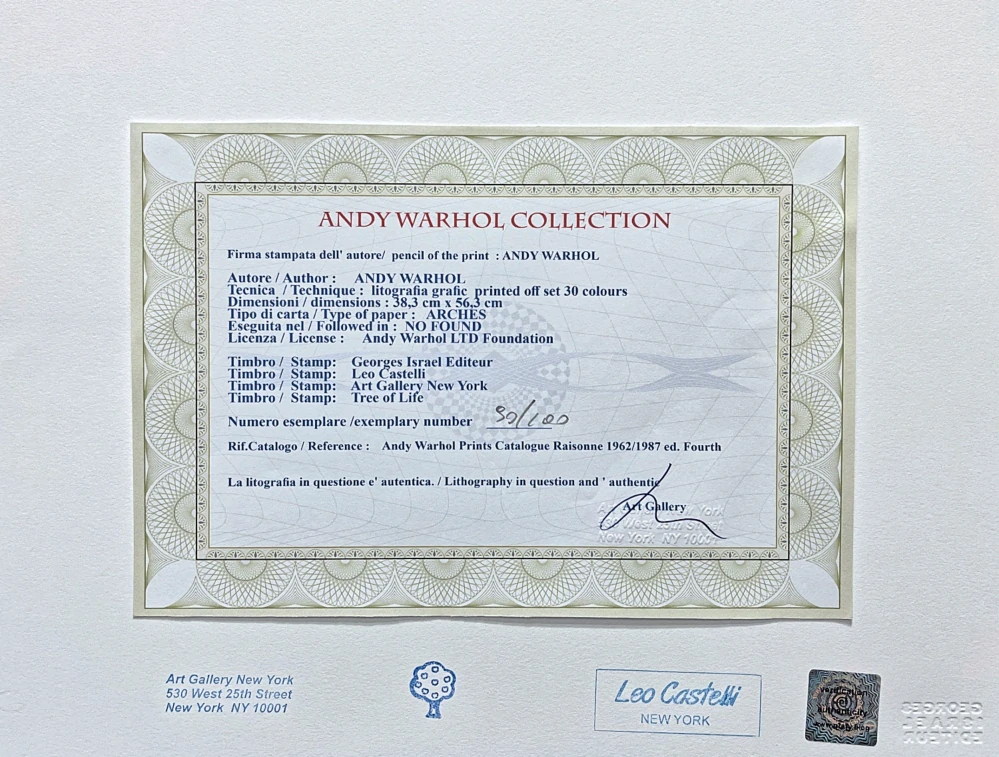 Andy Warhol - Ananas 90/100 - edice Leo Castelli s certifikátem