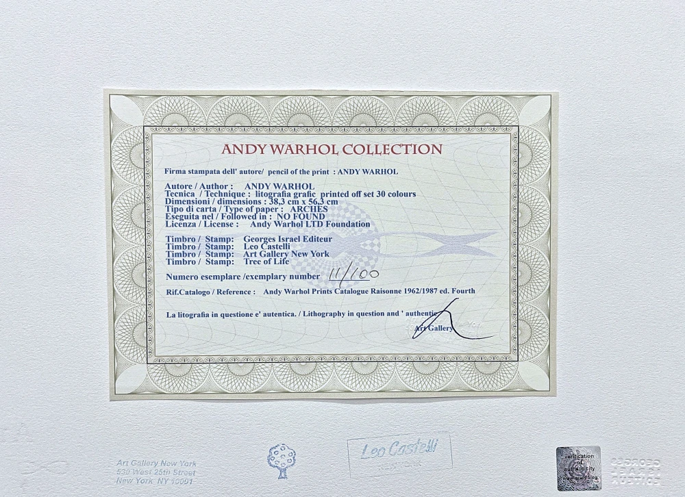 Andy Warhol - Vesuvius barevný 11/100 - edice Leo Castelli s certifikátem