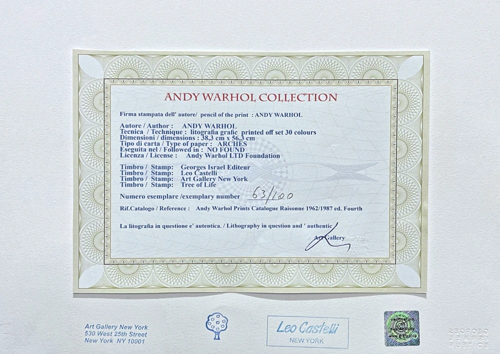 Andy Warhol - Katie Jonas 63/100 - edice Leo Castelli s certifikátem