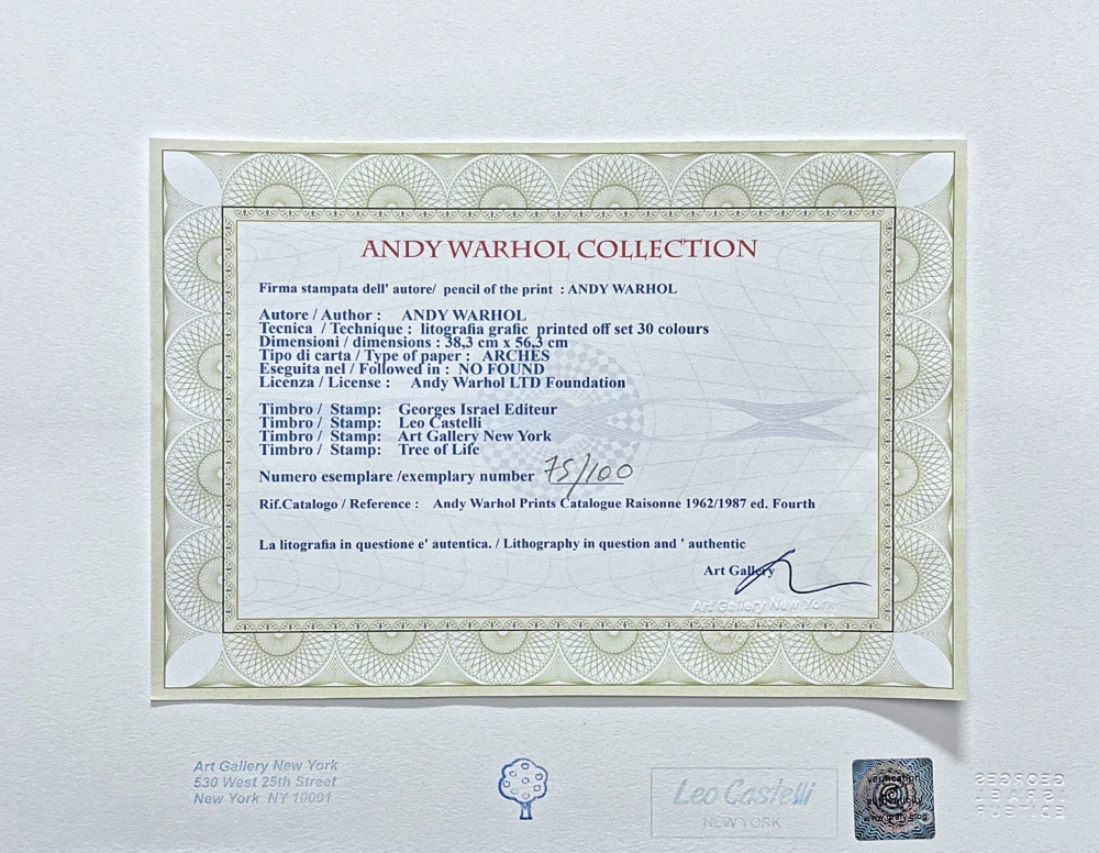 Andy Warhol - Sandra Brant 75/100 - edice Leo Castelli s certifikátem