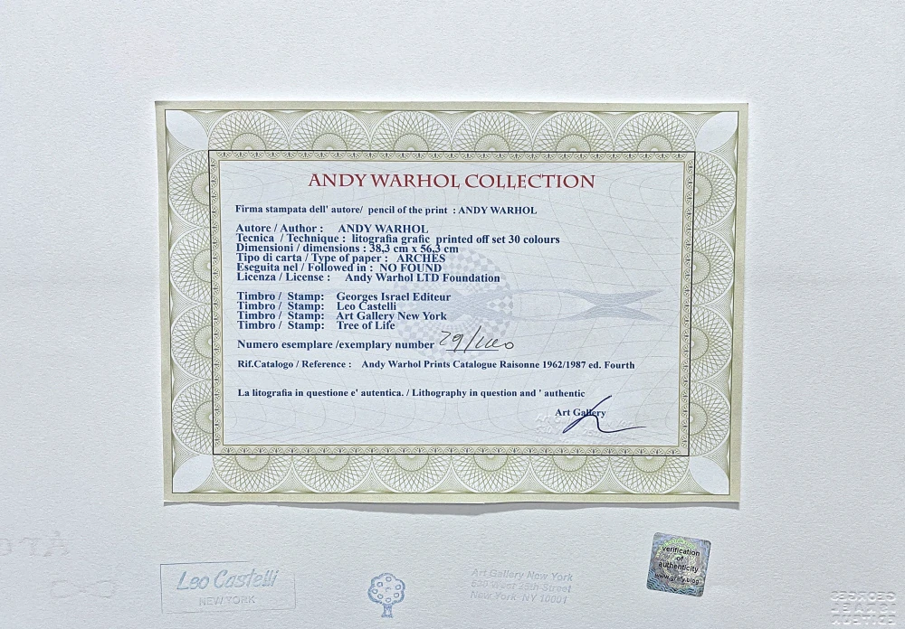 Andy Warhol - Flowers modro-žluté 29/100 - edice Leo Castelli s certifikátem