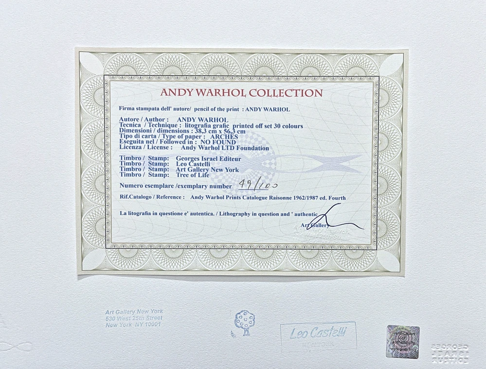 Andy Warhol - Grevys zebra růžová 49/100 - edice Leo Castelli s certifikátem