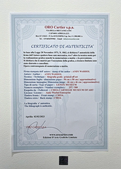 Andy Warhol - Orangutan béžovo-vínový 257/500 - signováno, 50x50cm, limitovaná edice CMOA s certifikátem