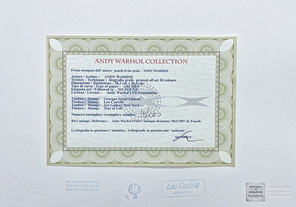 Andy Warhol - Michael Jackson v barevných obdélnících 10/100 - edice Leo Castelli s certifikátem