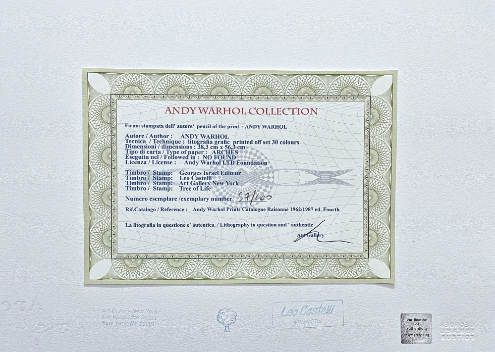 Andy Warhol - Vesuvius hnědý 57/100 - edice Leo Castelli s certifikátem