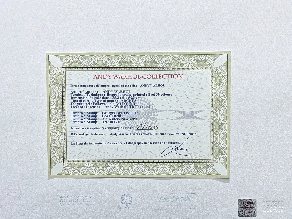 Andy Warhol - Diana Vreeland Rampant černo-růžová x/100 - edice Leo Castelli s certifikátem
