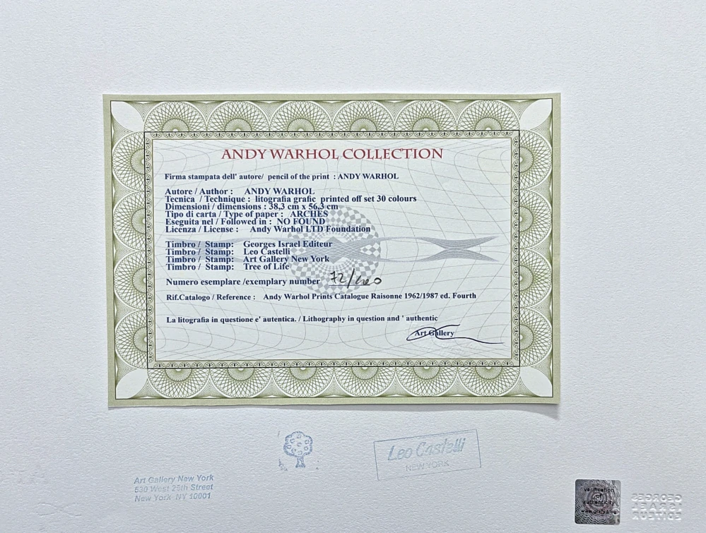 Andy Warhol - Campbell's Soup - Chicken Noodle in pencil 72/100 - edice Leo Castelli s certifikátem