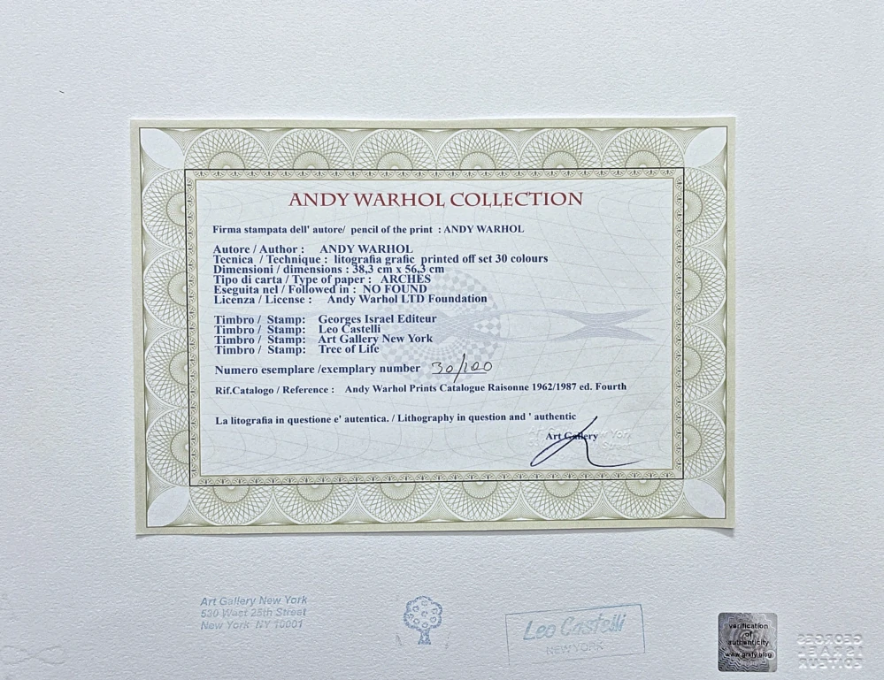 Andy Warhol - Superman červeno-zelený 30/100 - edice Leo Castelli s certifikátem