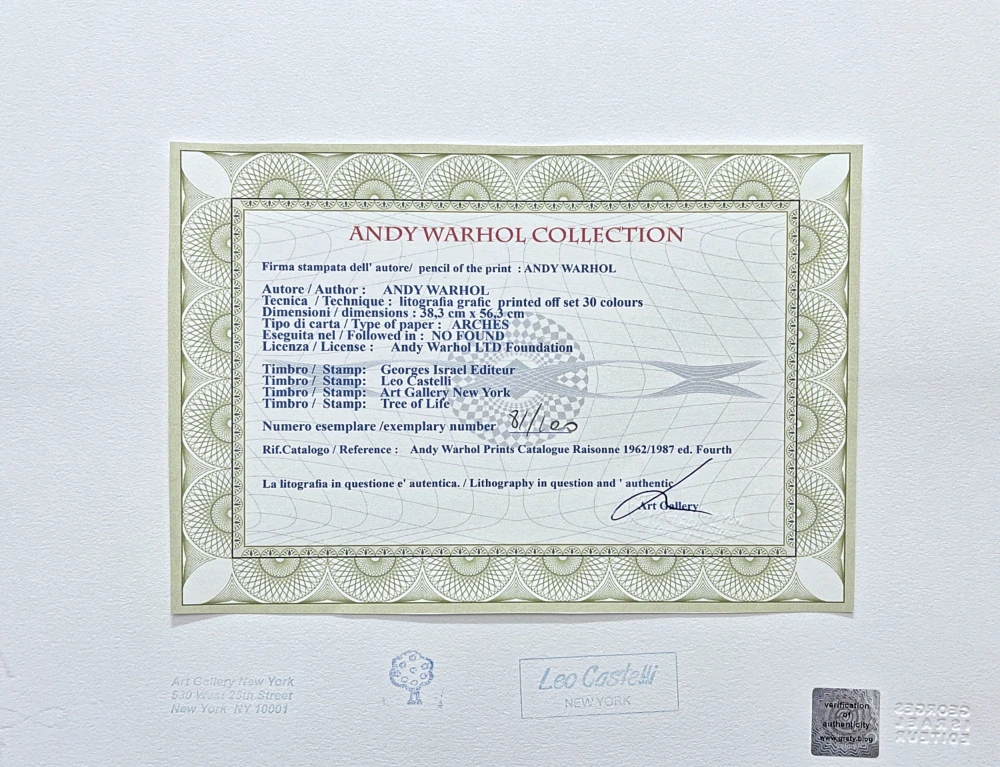 Andy Warhol - Elephnat na zeleno-modrém pozadí 81/100 - edice Leo Castelli s certifikátem