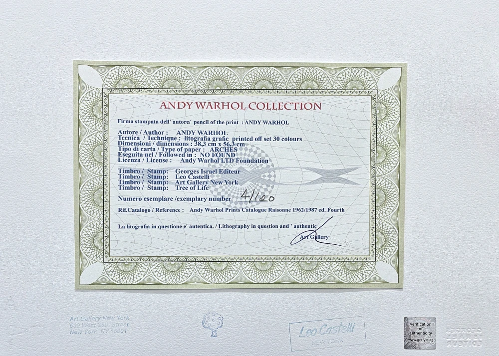 Andy Warhol - Cat žluto-zelená 4/100 - edice Leo Castelli s certifikátem