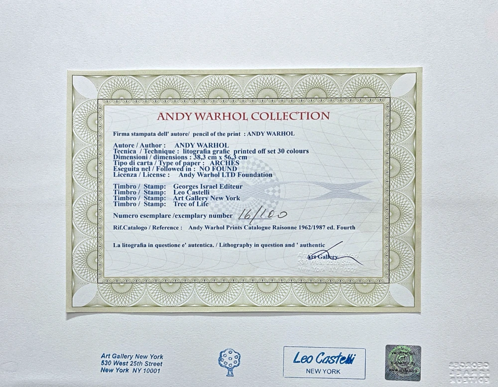Andy Warhol - Converse 16/100 - edice Leo Castelli s certifikátem