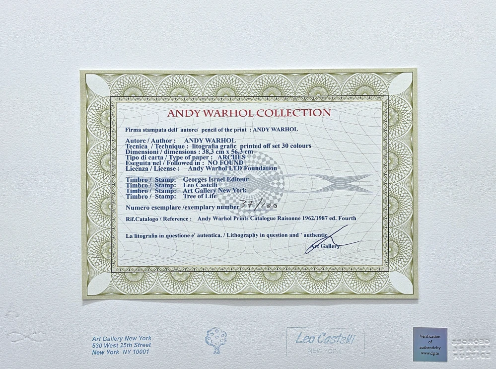 Andy Warhol - Tiger cihlová barva 37/100 - edice Leo Castelli s certifikátem