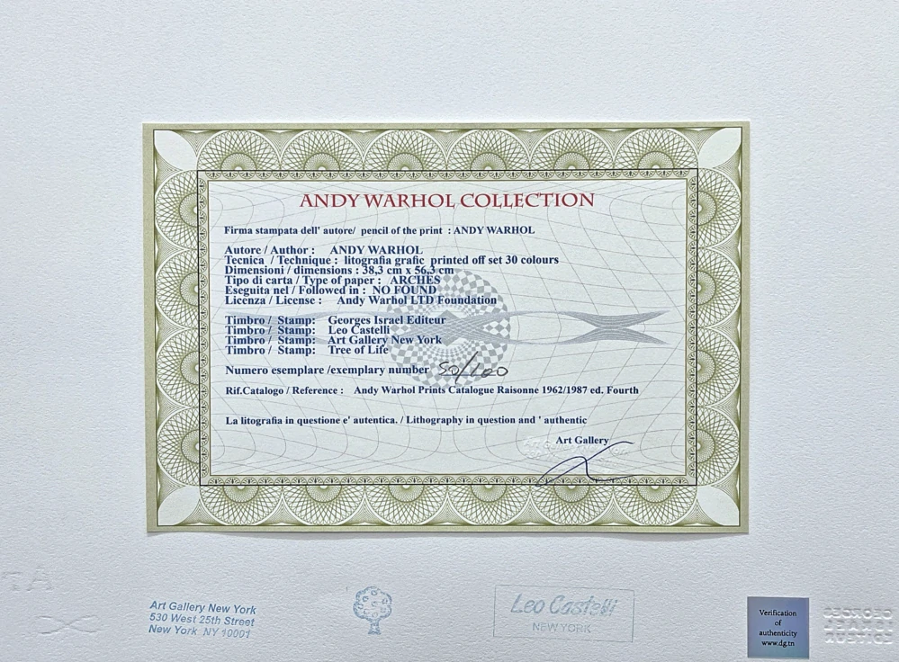 Andy Warhol - Mick Jagger zeleno-černý 50/100 - edice Leo Castelli s certifikátem