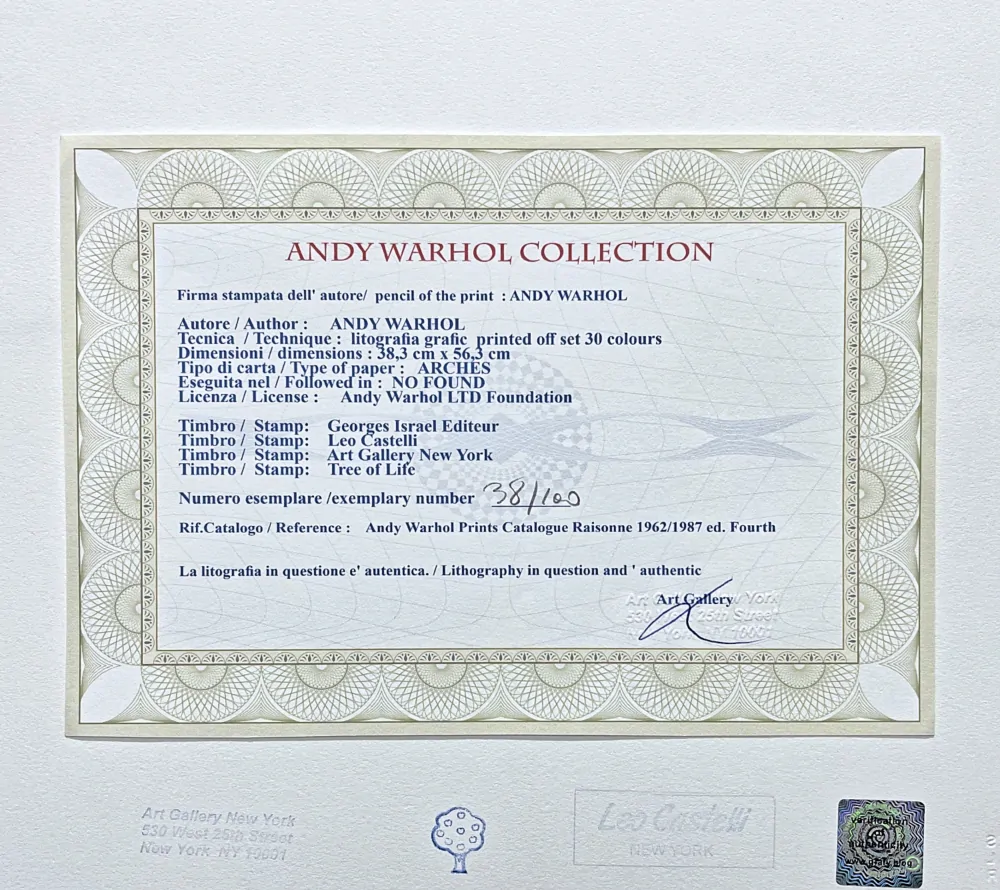 Andy Warhol - Muhammad Ali šedý 38/100 - edice Leo Castelli s certifikátem