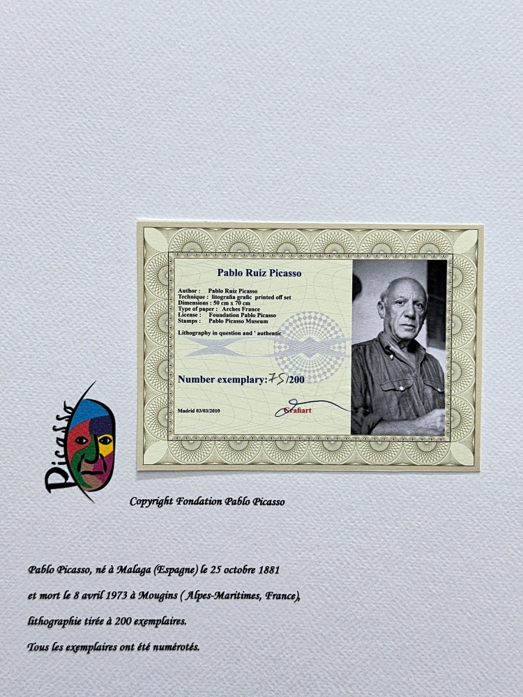 Pablo Picasso - Dora Maar 75/200 - signováno, s certifikátem, 50x70 cm
