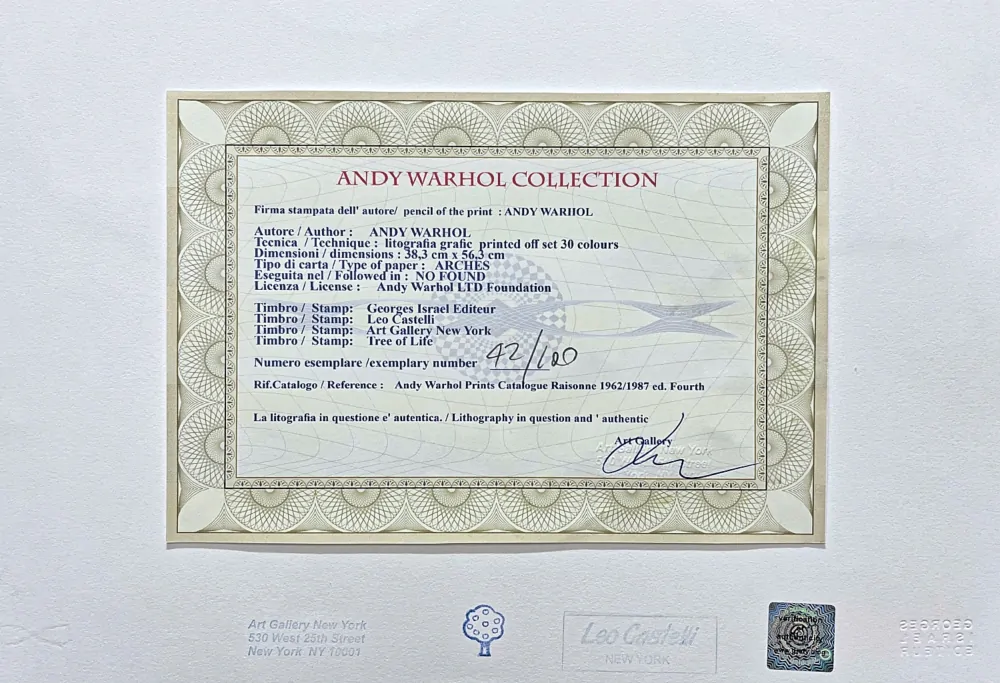 Andy Warhol - Harald Schumacher x/100 - edice Leo Castelli s certifikátem